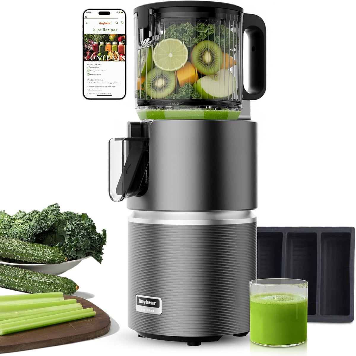 anybear, Estrattori succo albero singolo masticatori, 350 W, 124 mm, Nero
